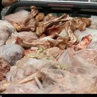 کشف ۲۲ تُن گوشت فاسد قبل از عرضه به بازار در غرب تهران