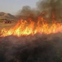 سوزاندن بقایای گیاهی مزارع سبب کاهش حاصلخیزی خاک می‌شود