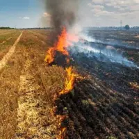 کشاورزان مراقب آتش‌سوزی در مزارع خود باشند