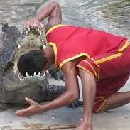 گاز گرقتن دست یک مرد توسط تمساح