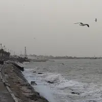 ادامه وزش باد به‌نسبت شدید شمالی در سواحل بوشهر
