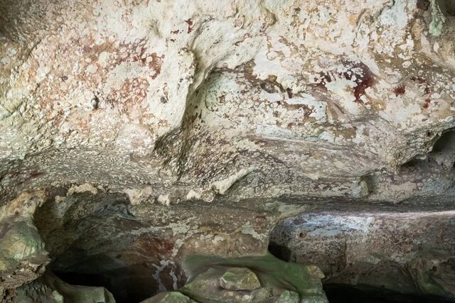 4گوشه دنیا/ کشف قدیمی‌ترین غارنگاره جهان
