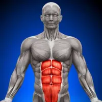 تمرینات موثر برای تقویت عضلات مرکزی بدن