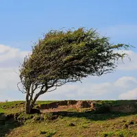 وزش باد و افزایش نسبی دما در استان البرز