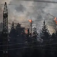 آتش سوزی جنگل های فلسطین اشغالی در پی حملات راکتی حزب الله