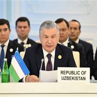 ازبکستان خواستار پایان فوری جنگ در غزه شد