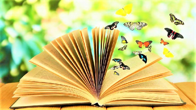 جوان‌ترین شاعر انگیزشی جهان برای ایران است!