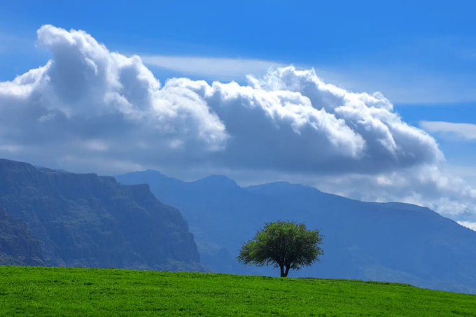 تصویری از زاگرس زیبا و تک درخت‌اش