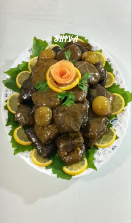 از شما/دلمه برگ مو