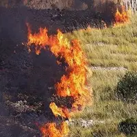 آتش‌سوزی بخش ایرانی هورالعظیم مهار شد