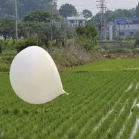 سئول: کره شمالی باز هم بالون‌های زباله ارسال کرد