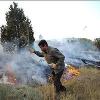 آتش‌سوزی جنگل‌ها و مراتع در بیستون