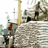 پیشنهاد سازمان برنامه برای حذف ارز ترجیحی برنج