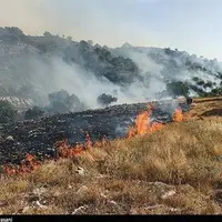 افزایش شدت آتش‌سوزی در منطقه قلارنگ سیروان‌ 
