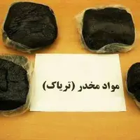 86کیلو تریاک در باغی در شیراز کشف شد