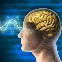 زمان طلایی برای رسیدگی به بیماران سکته مغزی
