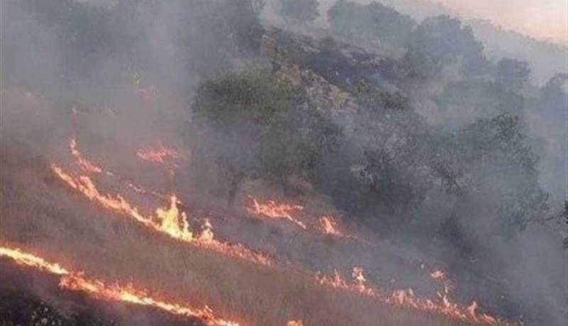 شناسایی عوامل آتش‌سوزی ‌جنگل‌های زاگرس‌
