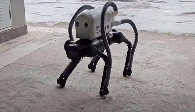 این سگ رباتیک ته‌ سیگارها را از سواحل جمع‌ می‌کند