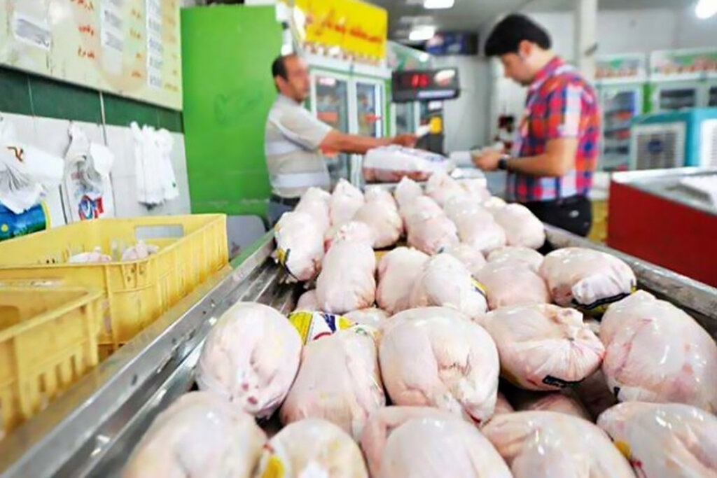افزایش ۳۴ درصدی عرضه مرغ در خردادماه نسبت به سال قبل