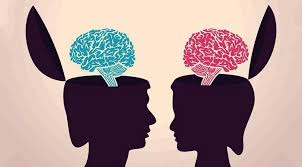 تفاوت جالب مغز در آقایان و بانوان