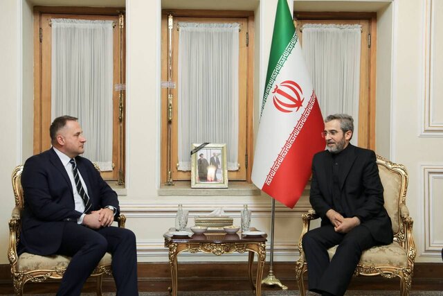 دیدار خداحافظی سفیر لهستان در تهران با علی باقری