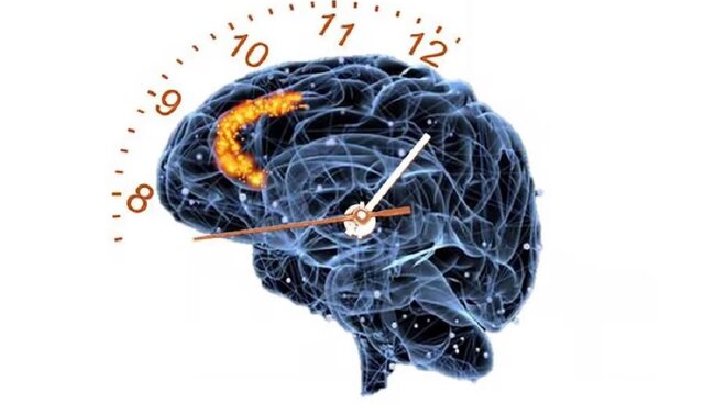مغز ما زمان را بیشتر شبیه شمارنده می‌بیند تا ساعت