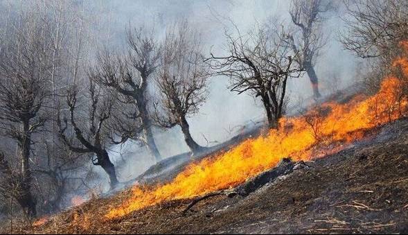 آتش‌سوزی در بخشی از مراتع پارک ملی کرخه