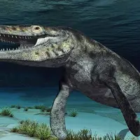 کشف فسیل دایناسور ۲۳۳ میلیون ساله در جنوب برزیل!