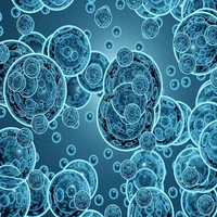 نانوحباب‌های پروتئینی برای سونوگرافی قابل استفاده هستند
