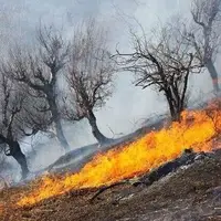 آتش‌سوزی در بخشی از مراتع پارک ملی کرخه