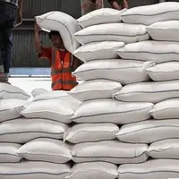کاهش چشمگیر واردات برنج در سال جاری