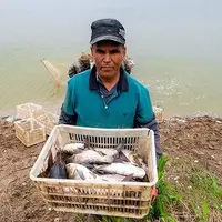 ضررهای هنگفت مزارع پرورش ماهی با گرمای شدید هوا