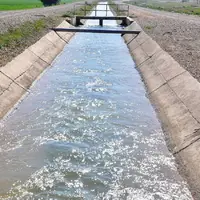 دو مرد در کانال آب کشاورزی فلاورجان غرق شدند