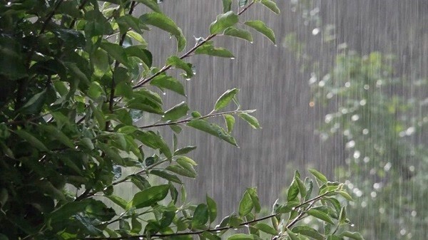 هفته‌ای بارانی در انتظار گیلانی‌ها
