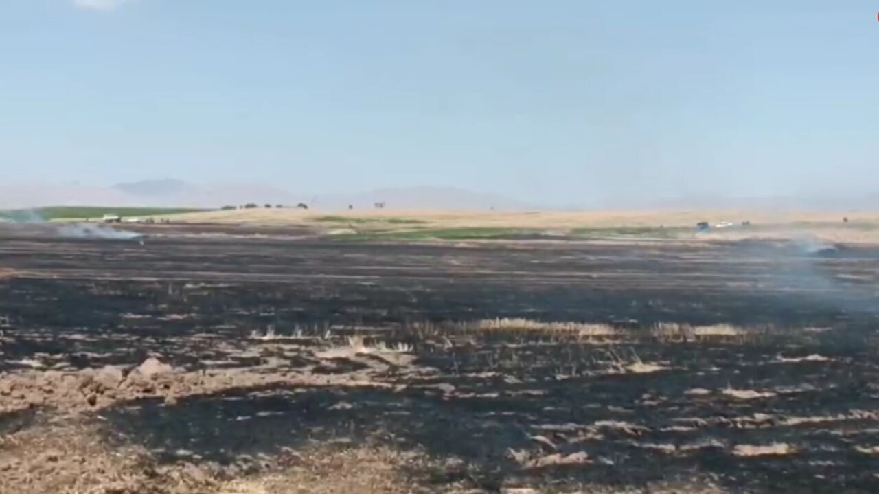 ۴۰ هکتار مزارع گندم گیلانغرب در آتش سوخت