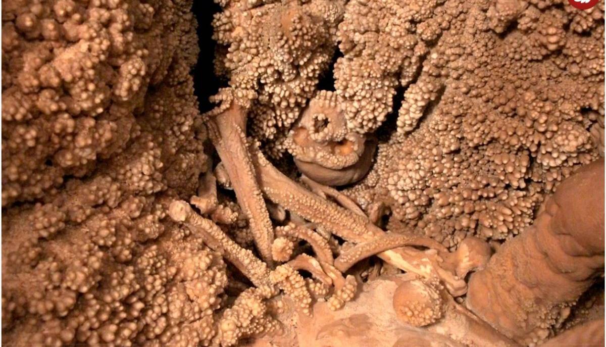 4 گوشه دنیا/ انسان منقرض‌شده‌ای که «150 هزار سال قبل» در یک غار به دام افتاد