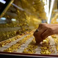 رنگ سبز بازار طلا و ارز؛ ادامه روند افزایش قیمت‌ انواع سکه