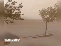 طوفان شدید گردوخاک در نشتیفان شهرستان خواف