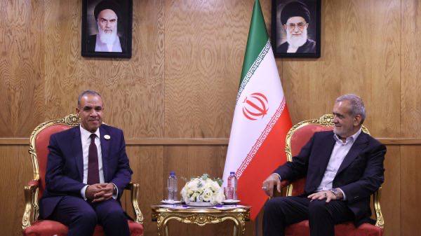 عکس/ دیدار وزیر امور خارجه مصر با رئیس جمهور