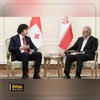 عکس/ دیدار نخست وزیر گرجستان با رئیس جمهور