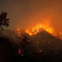 آتش بلای جان جنگل‌های کالیفرنیا
