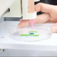 استفاده دانشمند ایرانی از سفیده تخم‌مرغ برای چاپ سه‌بعدی بافت‌های پیچیده