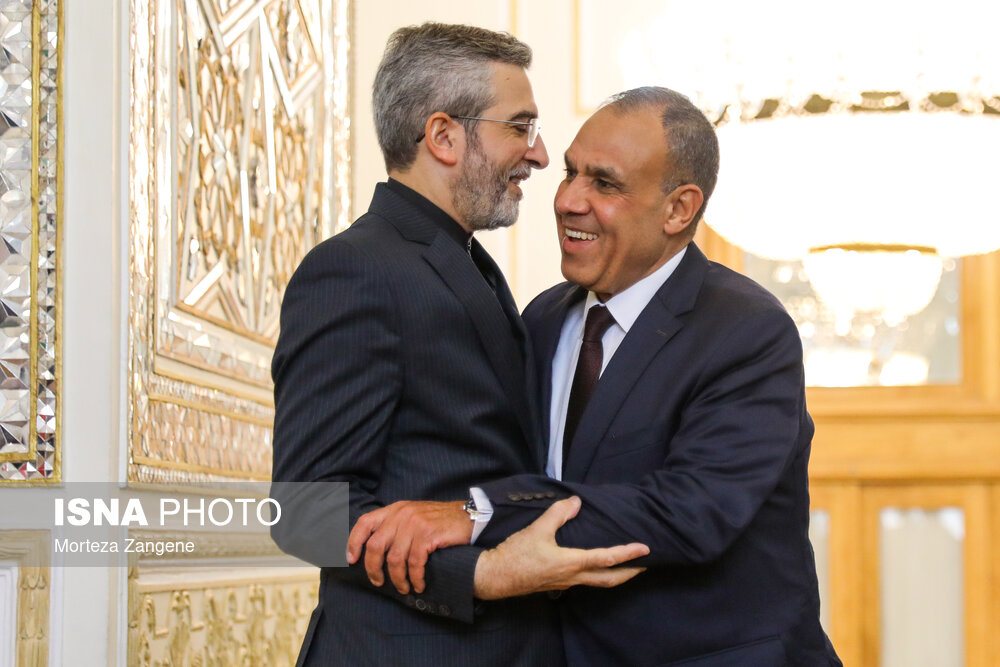 عکس/ تصاویری جالب از حواشی دیدار وزیر خارجه مصر با علی باقری      