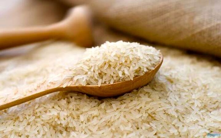 واردات برنج برای ۴ ماه ممنوع شد