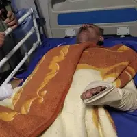 مجروحیت شدید محیط‌بان گیلانی بر اثر حمله خرس