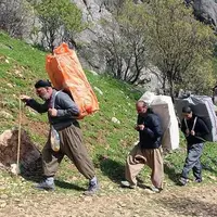 فرمانده مرزبانی: حامی کولبران قانونی هستیم