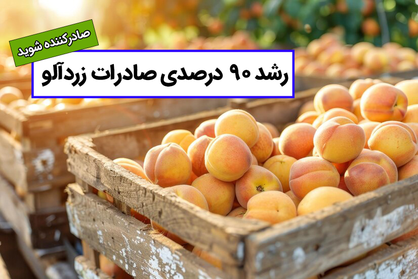 آقای محمدی تاجری موفقی که تجربیات خود را با ما به اشتراک گذاشت / چطور تاجر موفقی شویم؟