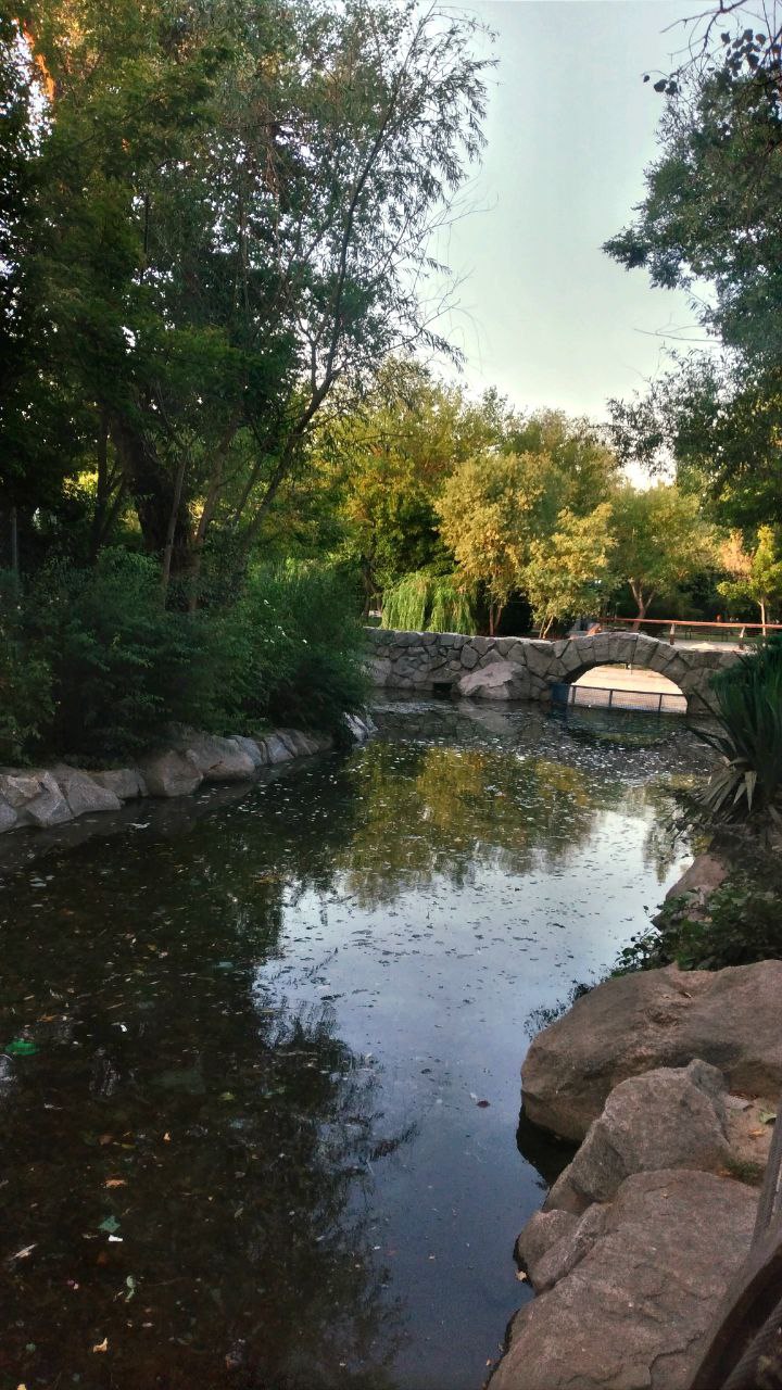 حال و هوای پارک ملتِ مشهد در صبح زیبای تابستانی