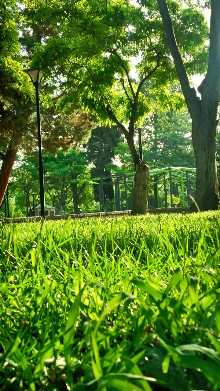 حال و هوای پارک ملتِ مشهد در صبح زیبای تابستانی