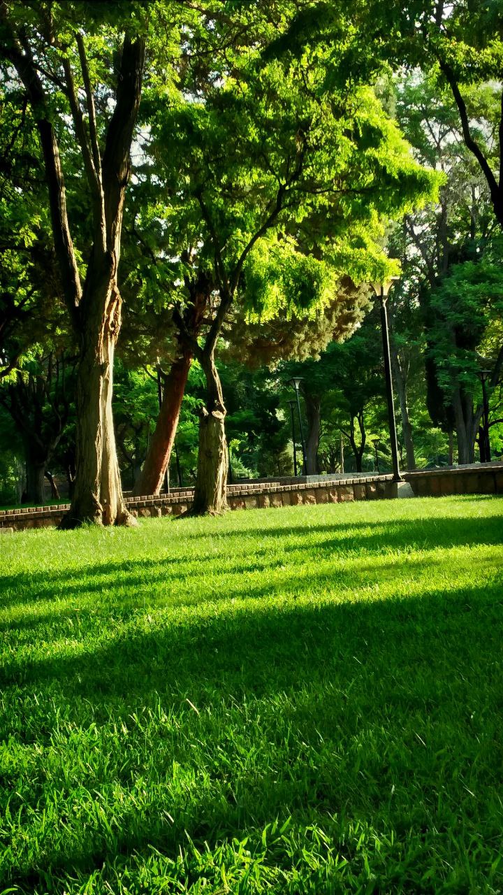 حال و هوای پارک ملتِ مشهد در صبح زیبای تابستانی